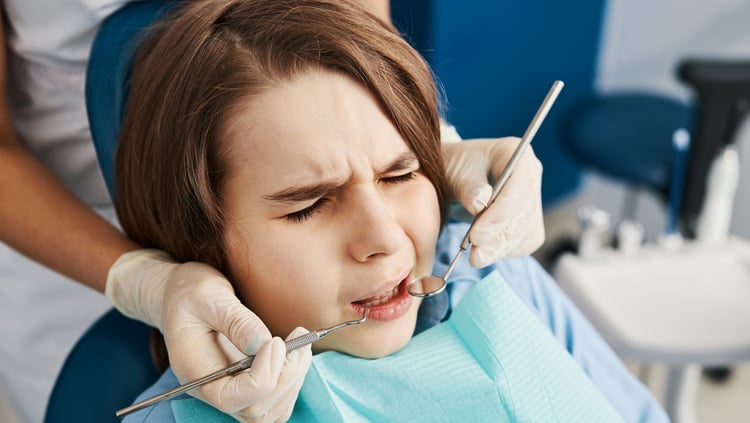 shutterstock_1963611568 cropped