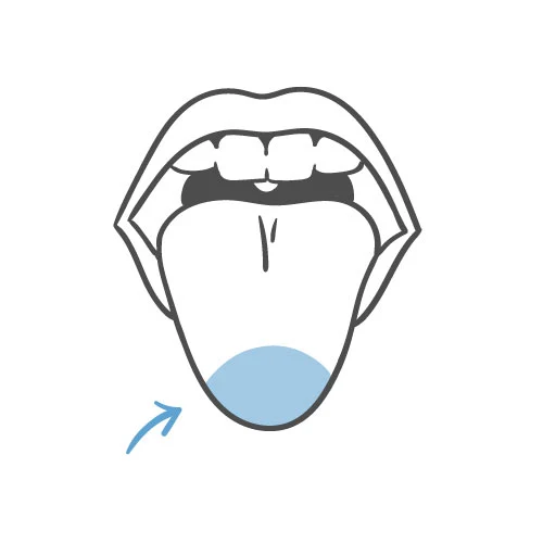 How to Use Tongue Illustration